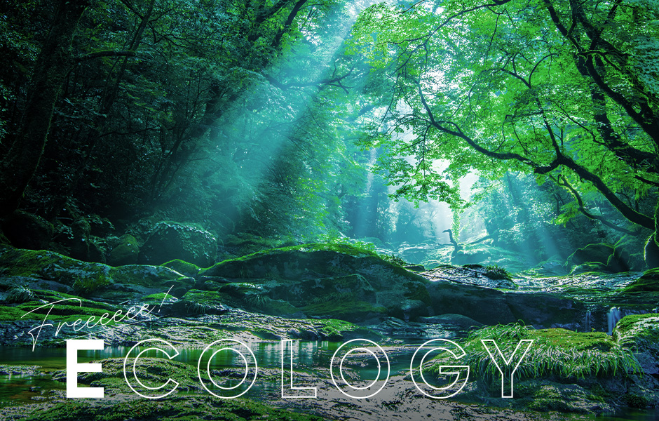 ECOLOGY