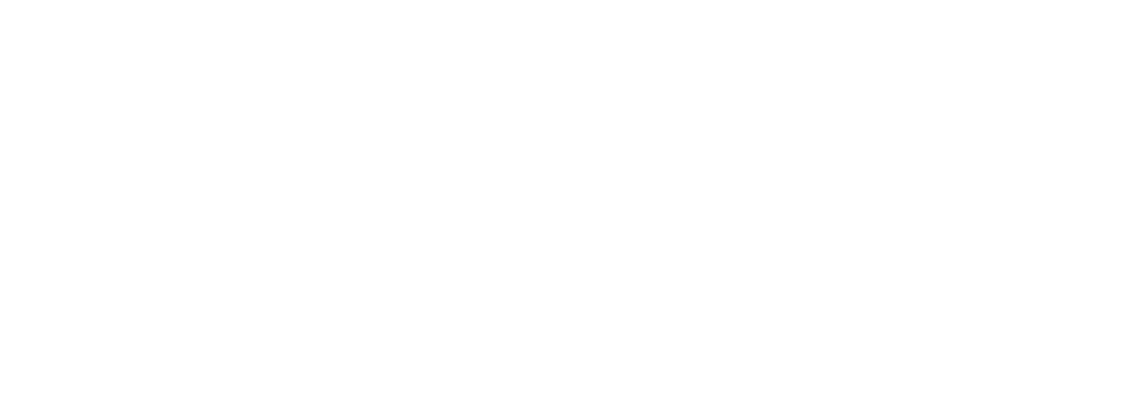 ESSENCE PLAN