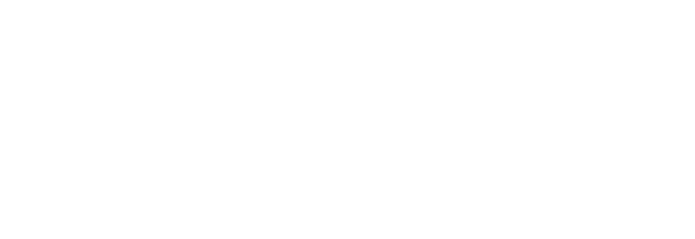 ESSENCE PLAN